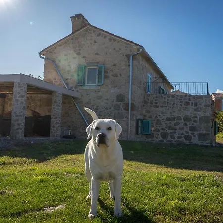 Na Kamenu Dobrinj